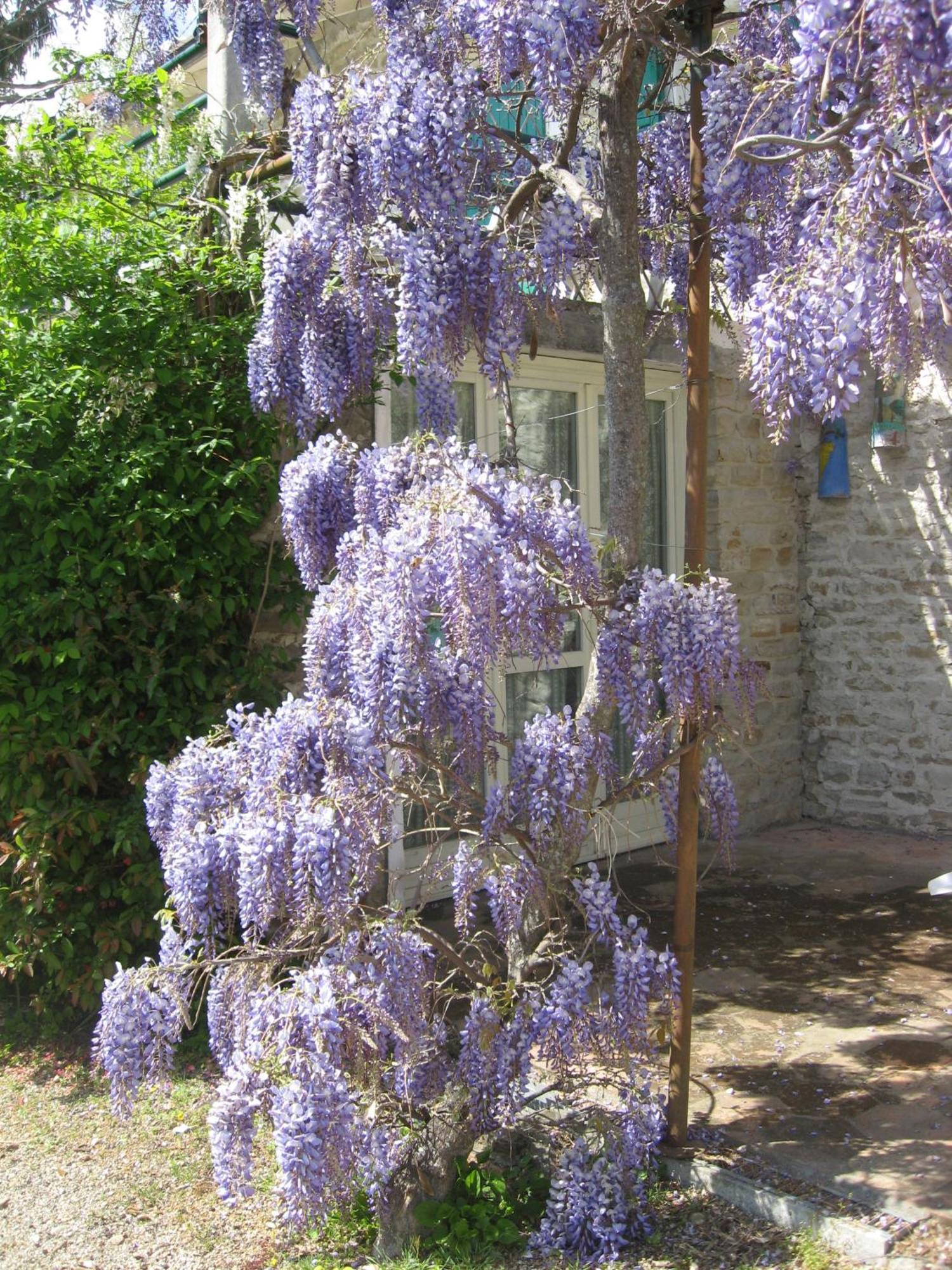 Agriturismo Cascina Serra Cossano Belbo Exterior foto