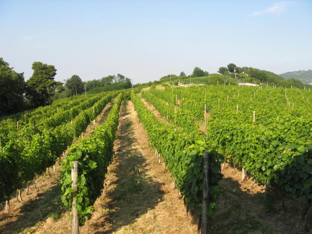 Agriturismo Cascina Serra Cossano Belbo Quarto foto