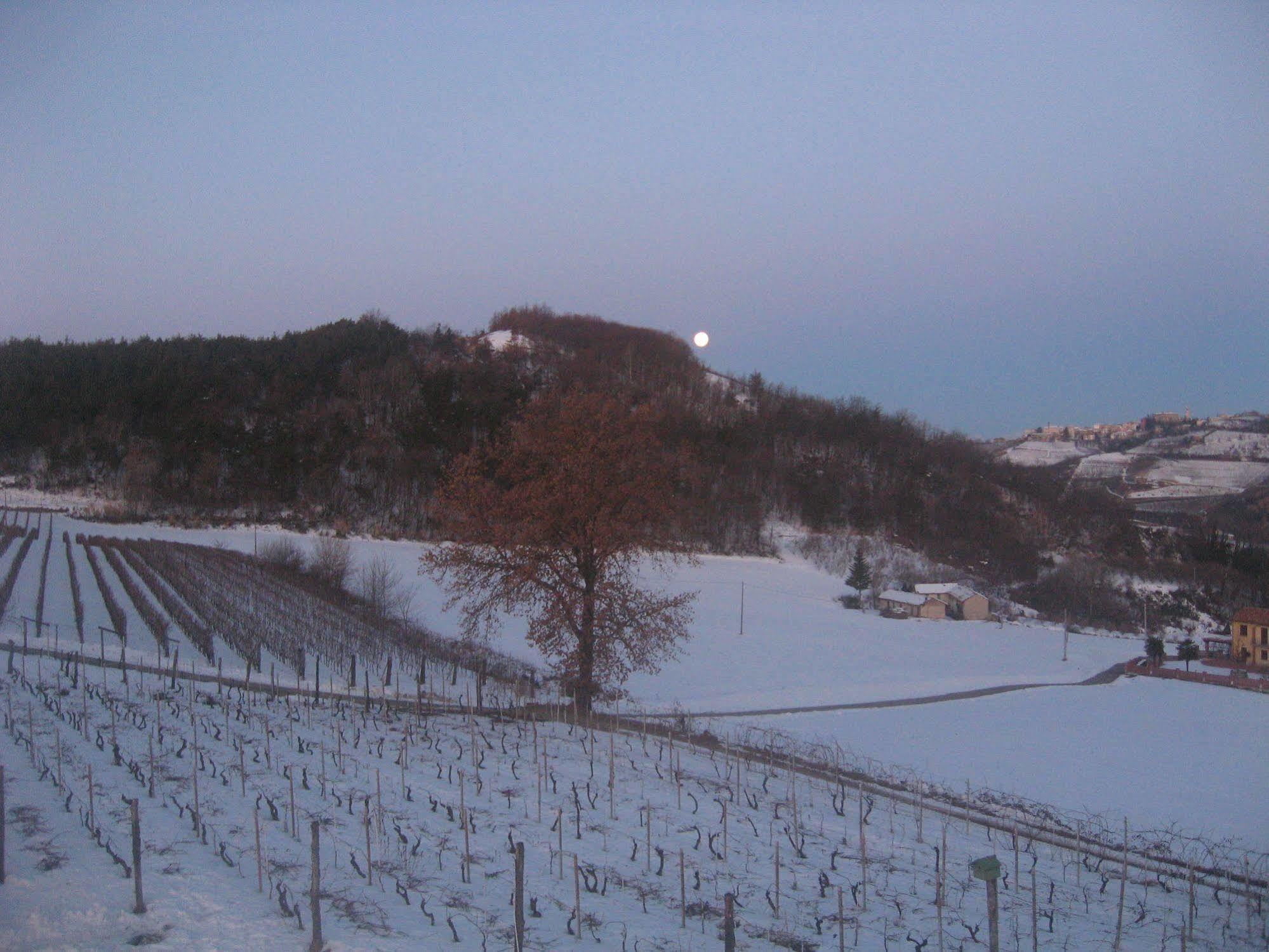 Agriturismo Cascina Serra Cossano Belbo Exterior foto